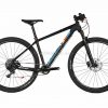 Ridley Ignite C29 GX1 29 Carbon Hardtail Mountain Bike